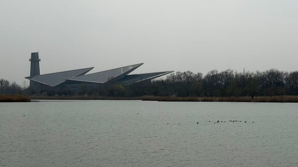 丹顶鹤湿地生态旅游区第 61 张图片