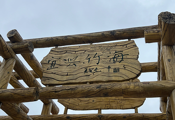 宜兴竹海风景区第 53 张图片