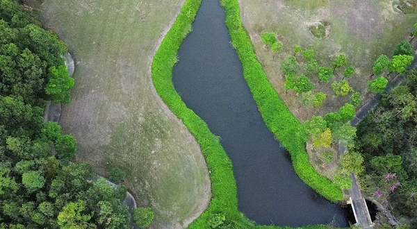 轻藤白鹭湖营地