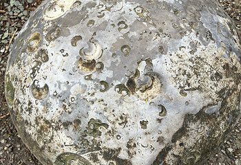 卡维提萤火虫洞第 20 张图片