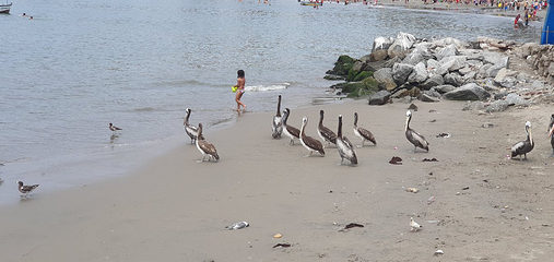 乔里约斯海滨大道第 15 张图片