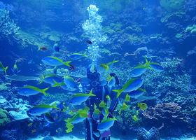 大分海之卵水族馆