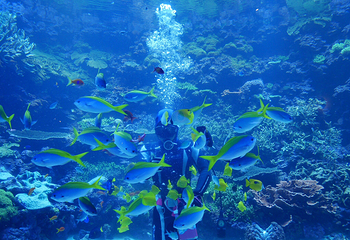 大分海之卵水族馆第 1 张图片