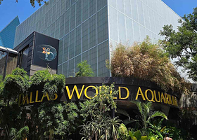 达拉斯水族馆