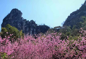 南溪山景区第 37 张图片