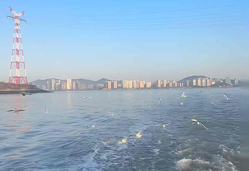 屿见厦门鼓浪屿游船第 19 张图片