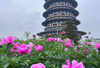 隋唐洛阳城明堂天堂景区第 37 张图片