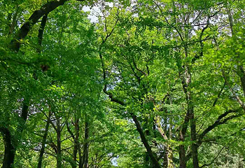 钟山风景名胜区第 129 张图片