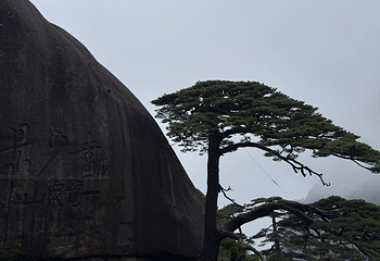 黄山风景区第 509 张图片