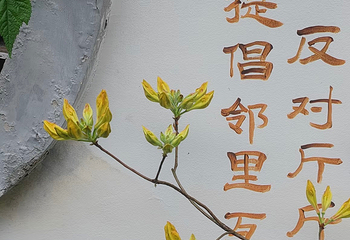 南山风景区第 72 张图片