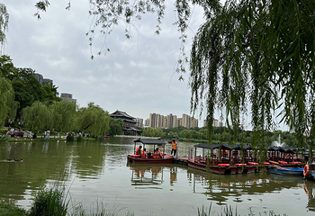 兴庆宫公园第 84 张图片