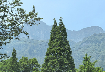黑竹沟风景名胜区第 15 张图片