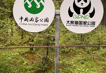 王朗国家级自然保护区第 17 张图片