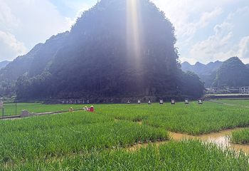 万峰林景区第 170 张图片