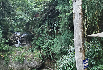 青城后山第 36 张图片