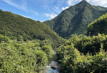 芦茨村第 19 张图片
