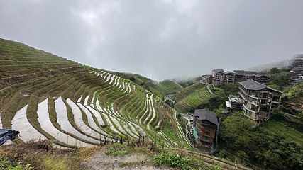 龙脊梯田第 178 张图片