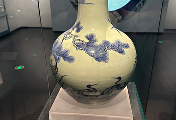 广西壮族自治区博物馆第 73 张图片
