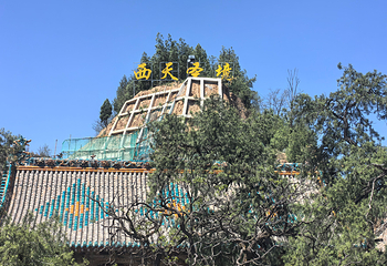 小西天第 104 张图片
