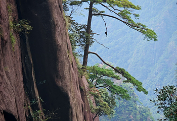 三清山风景区第 189 张图片
