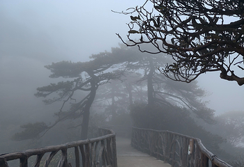 三清山风景区第 258 张图片