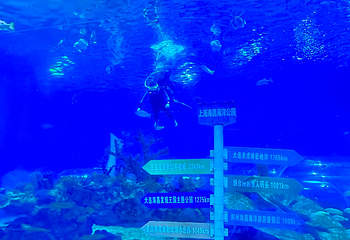 上海海昌海洋公园第 433 张图片