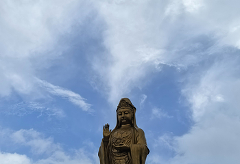 普陀山风景区第 335 张图片