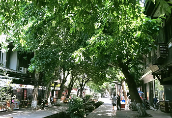 平乐古镇第 83 张图片