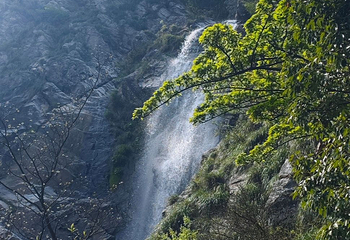 庐山风景名胜区第 196 张图片