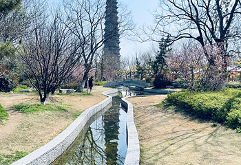 铁塔景区第 90 张图片