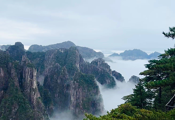 黄山风景区第 340 张图片