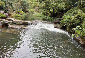 宜兴竹海风景区第 57 张图片