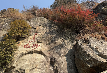 泰山风景区第 291 张图片