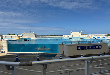 冲绳美丽海水族馆第 39 张图片