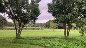 绿草湖生态湿地公园