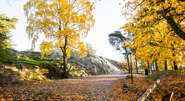 赫尔辛基动物园
