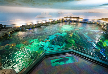 加拿大里普利水族馆第 7 张图片