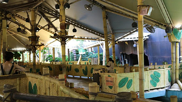 马达加斯加：木箱漂流记