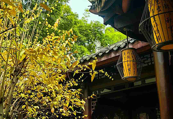 杜甫草堂第 347 张图片