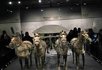 秦始皇帝陵博物院(兵马俑)第 180 张图片