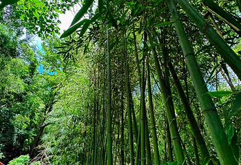 金龙峡第 44 张图片