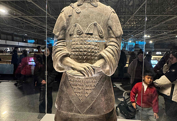 秦始皇帝陵博物院(兵马俑)第 379 张图片