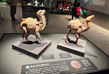 陕西考古博物馆第 33 张图片