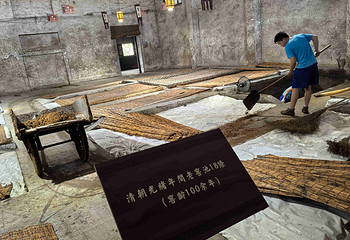 洋河酒厂文化旅游区第 46 张图片