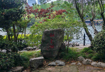 鲁迅公园第 45 张图片