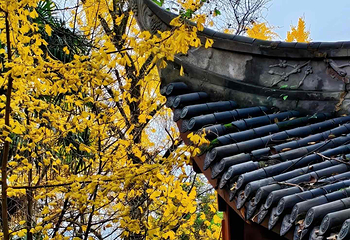 南山风景区第 14 张图片