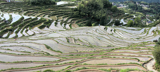 云和梯田景区第 78 张图片