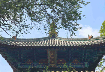 嵩山少林景区第 130 张图片