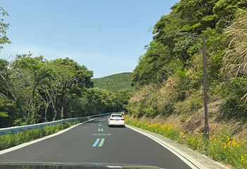 朱家尖大青山景区第 67 张图片