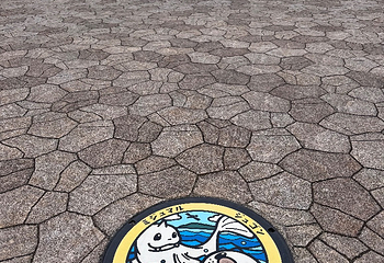 鸟羽水族馆第 20 张图片